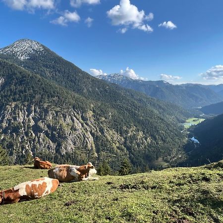 Landhaus Renata - Wendelstein Bayrischzell Dış mekan fotoğraf