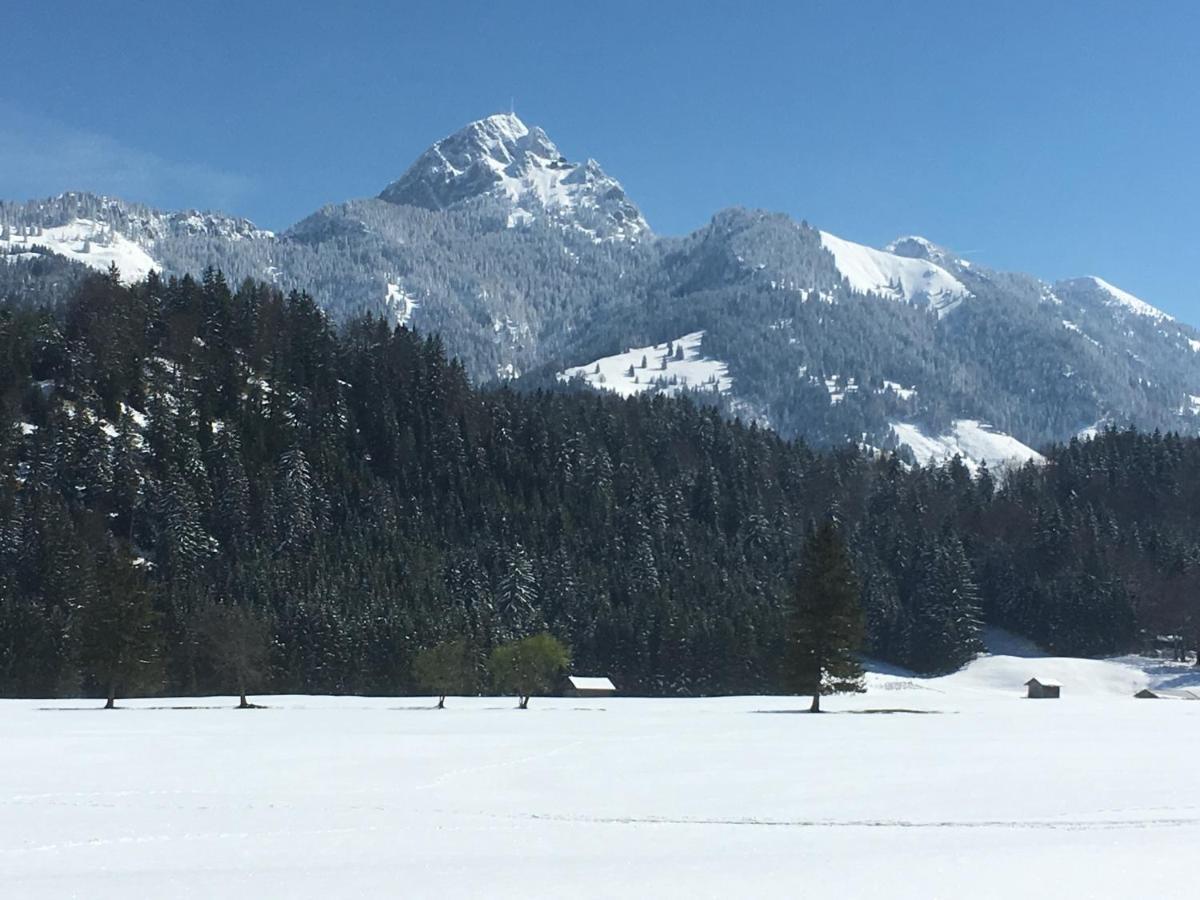 Landhaus Renata - Wendelstein Bayrischzell Dış mekan fotoğraf